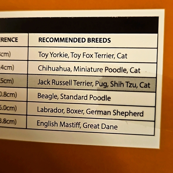 DOG OR CAT PET SWEATER. NIB Turquoise with the words "SPOILED" on it. Small - Picture 8 of 9